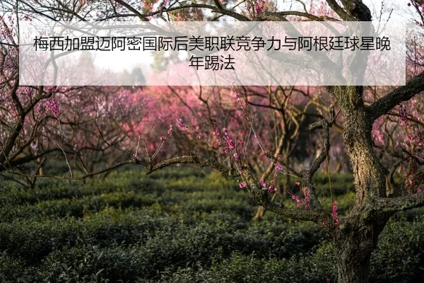 梅西加盟迈阿密国际后美职联竞争力与阿根廷球星晚年踢法