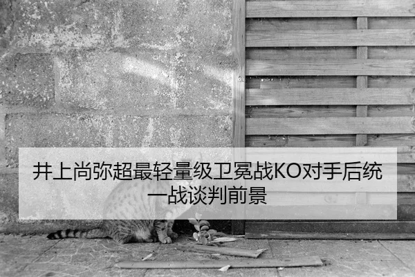 井上尚弥超最轻量级卫冕战KO对手后统一战谈判前景
